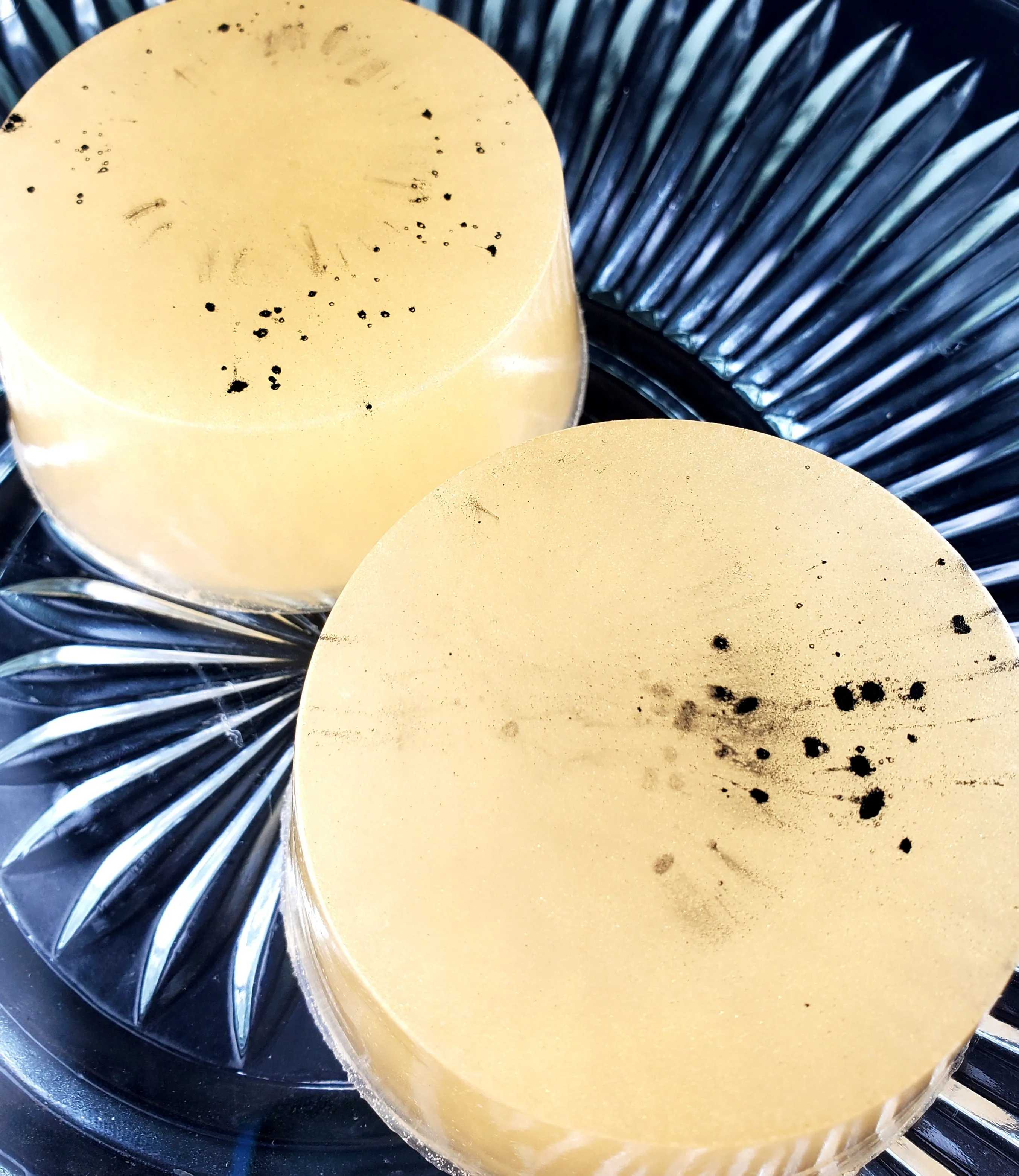 BRASS RAINBOWS Glycerin Soap | Eros Scent | Shaving and Beard Wash | Oakmoss Cedar Vetiver