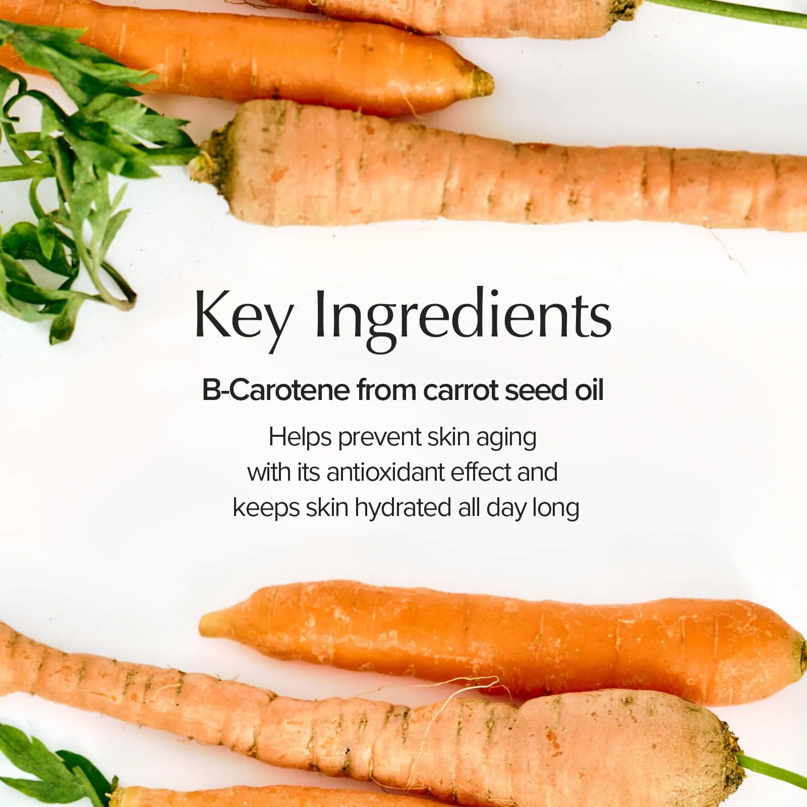 Carrot Caroten Mask