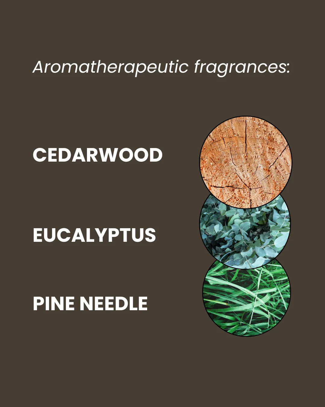 Cedarwood Shower Gel 500ml