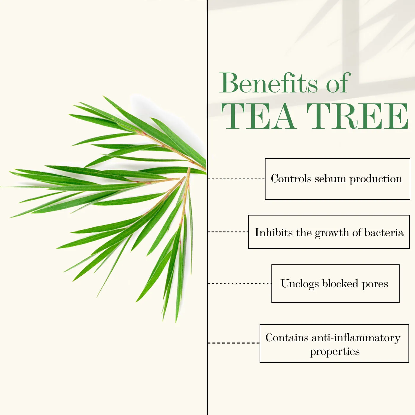 Good Vibes Tea Tree Oil Control Sleeping Mask (50 g)