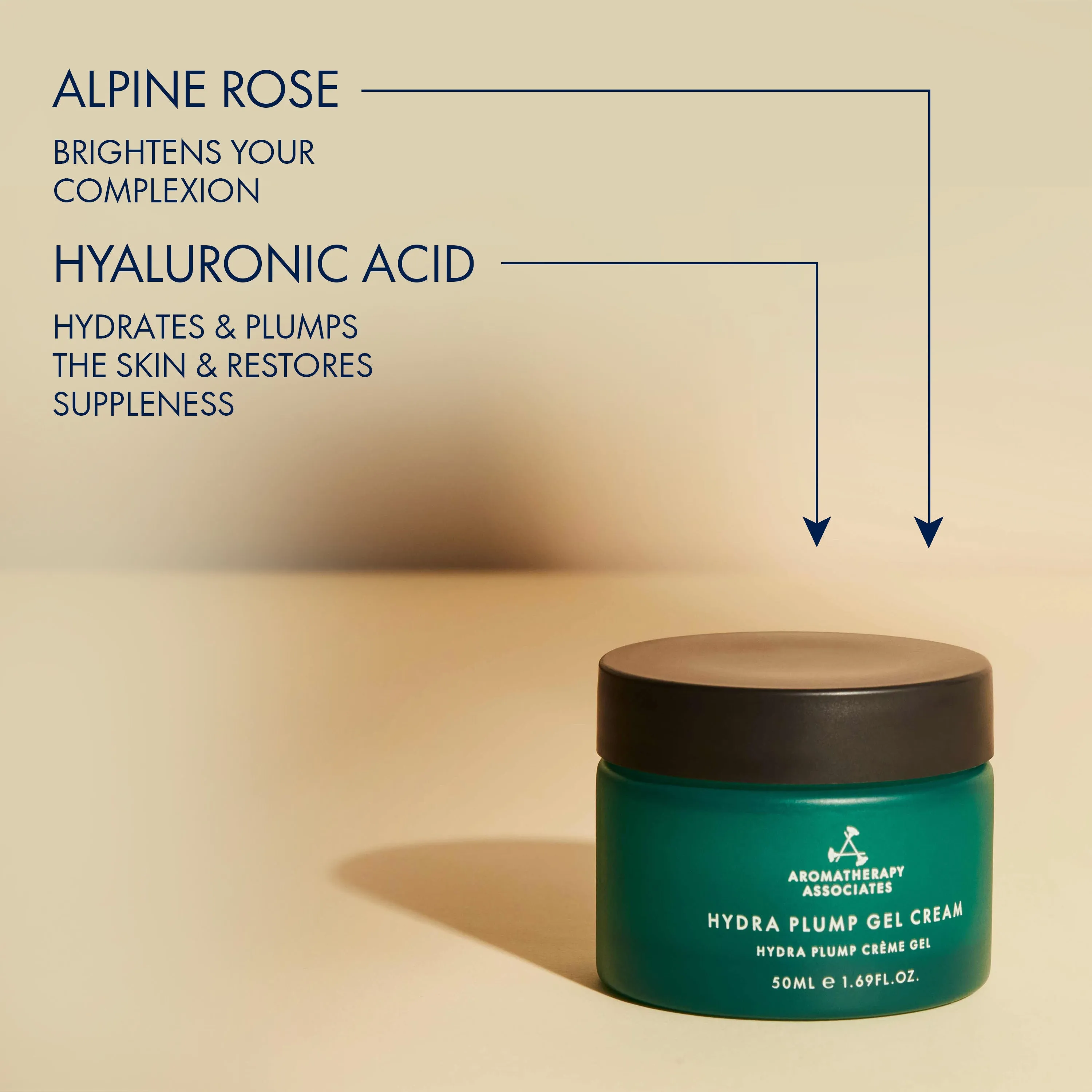 Plump & Glow Facial Kit