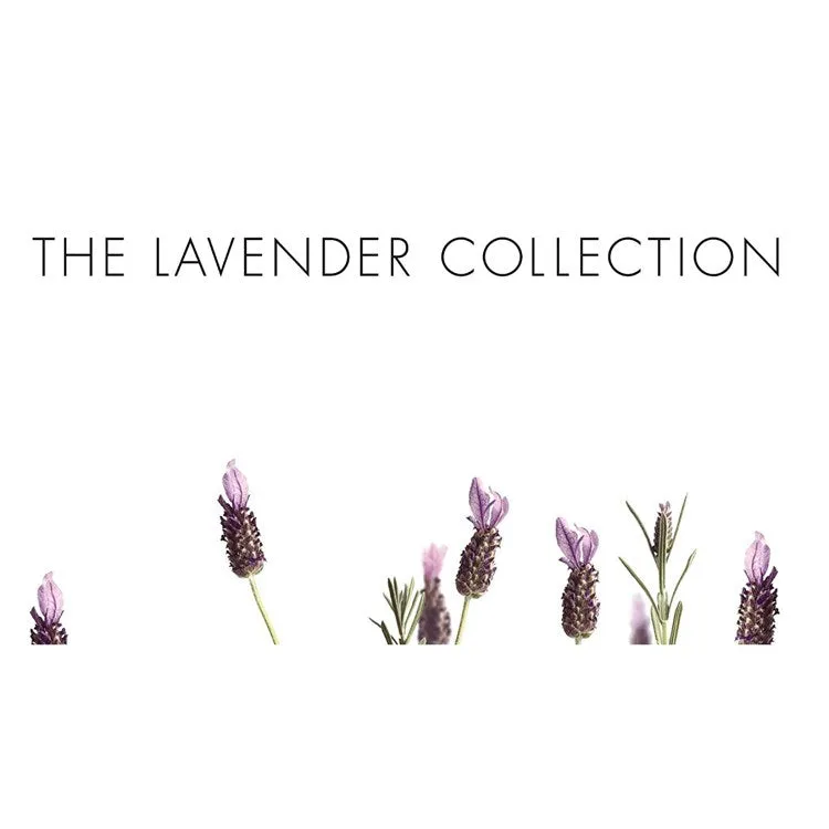 Pre de Provence Maison Lavender Body Lotion 240ml