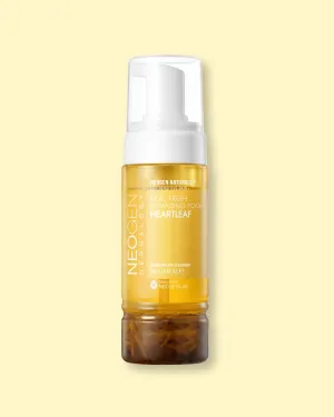 Real Heartleaf Fresh Foam Cleanser