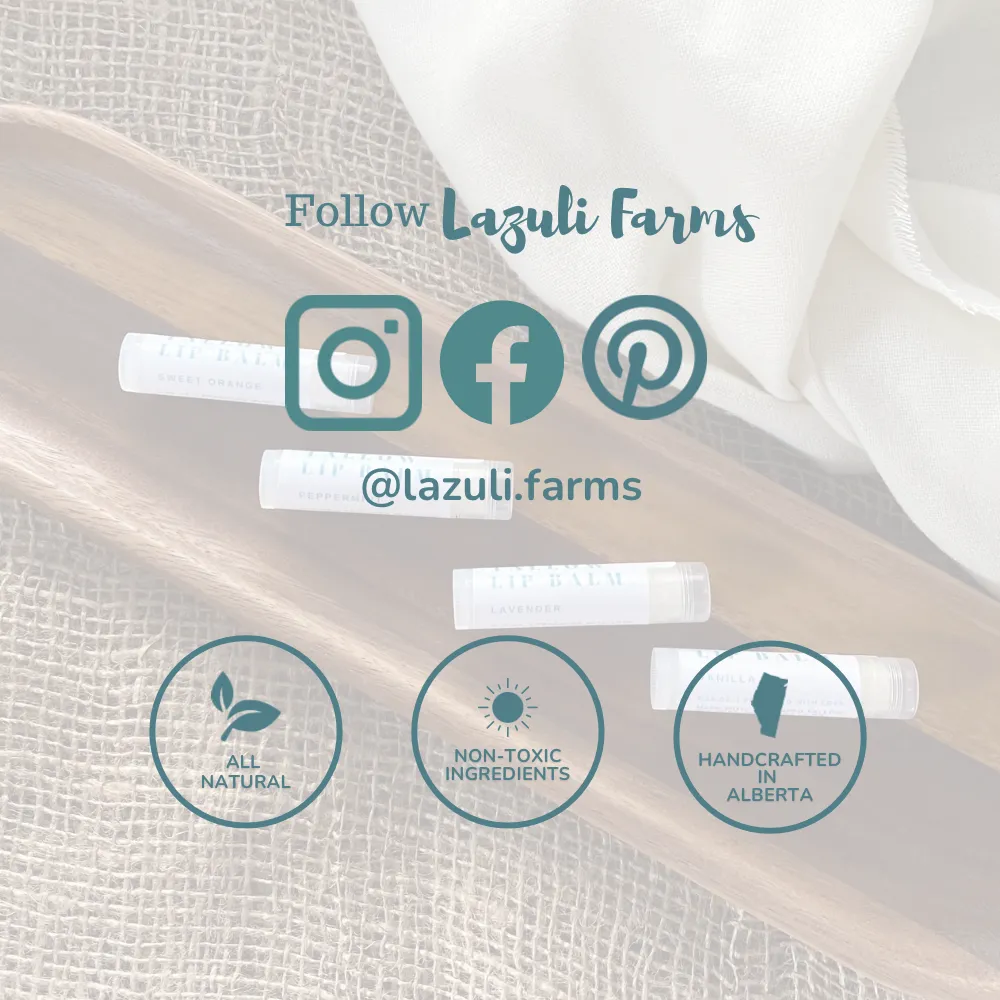 Rejuvenating Face Cream | For Normal or Mature Skin | Tallow with Geranium, Frankincense, and Lavender | Tallow for Face