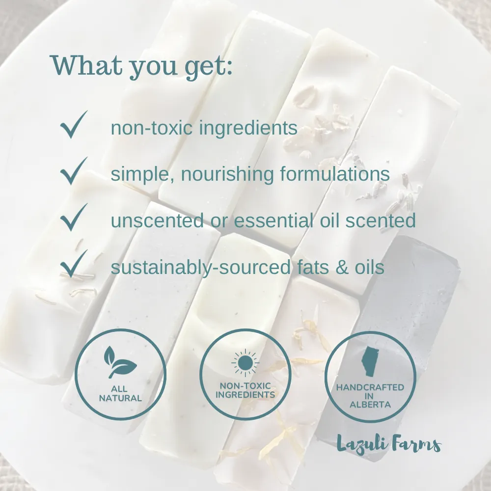 Rejuvenating Face Cream | For Normal or Mature Skin | Tallow with Geranium, Frankincense, and Lavender | Tallow for Face
