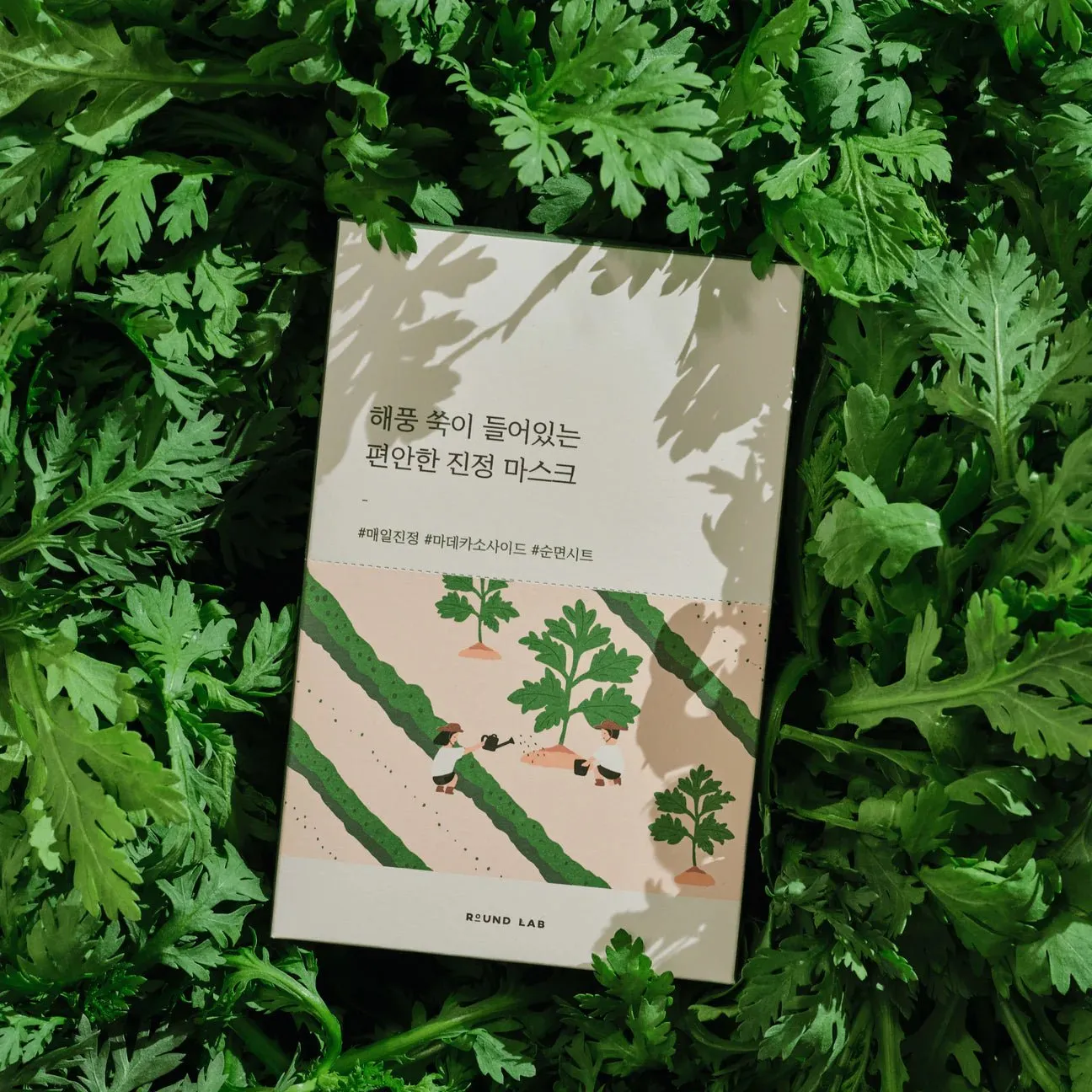 Round Lab Mugwort Calming Mask 25ml (10pcs)
