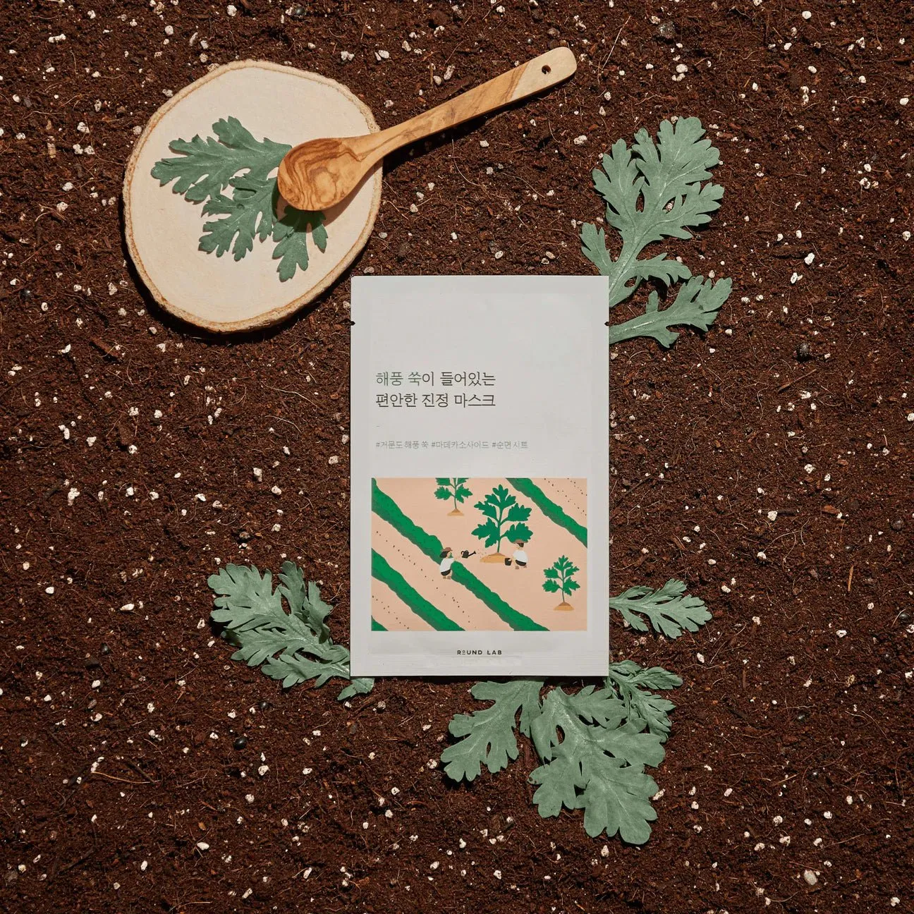 Round Lab Mugwort Calming Mask 25ml (10pcs)