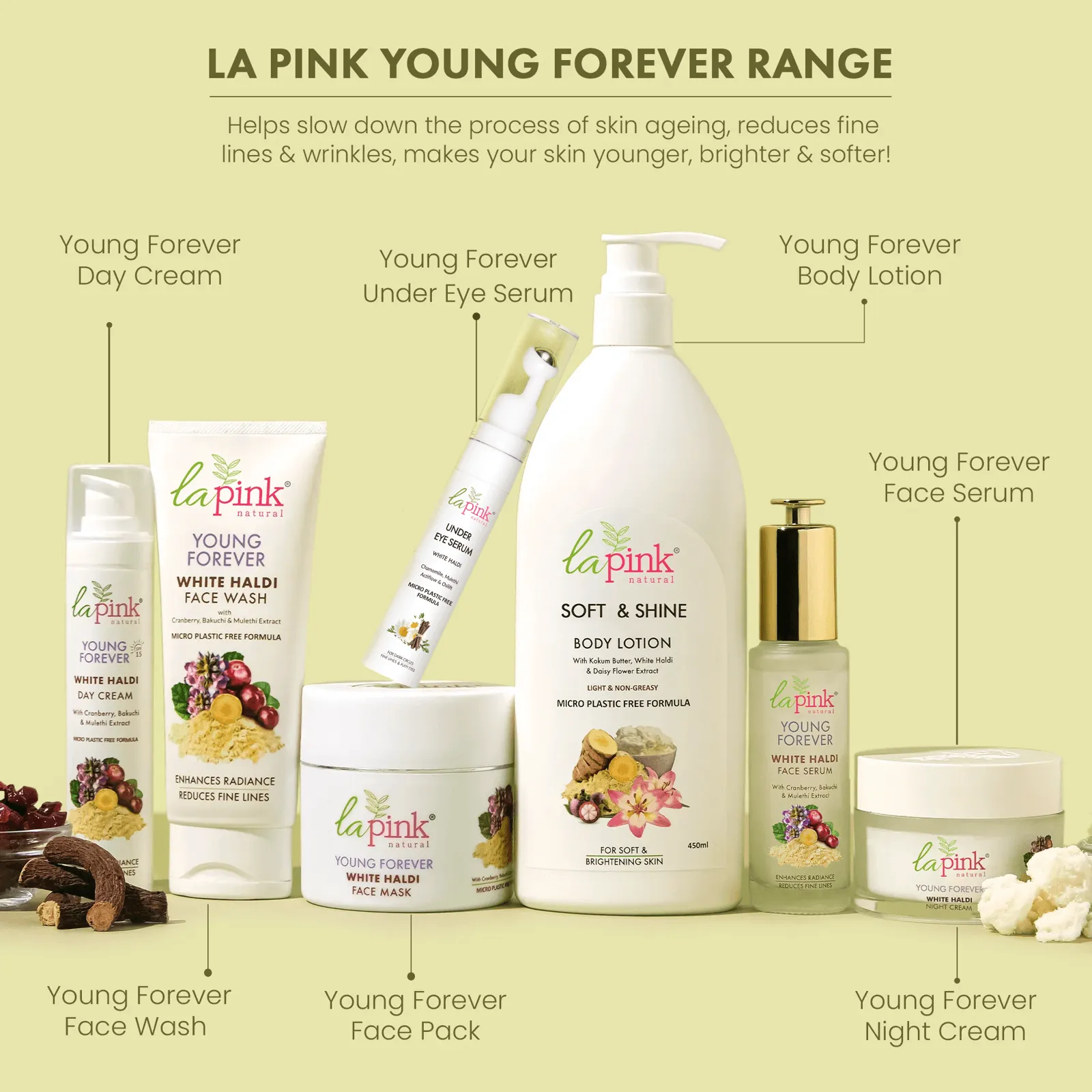 Soft and Shine Body Lotion With White Haldi & Daisy Flower To Enhance Radiance & Reduce Fine Lines