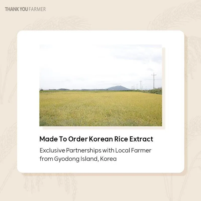[THANK YOU FARMER] Rice Pure Gel and Cream 80ml