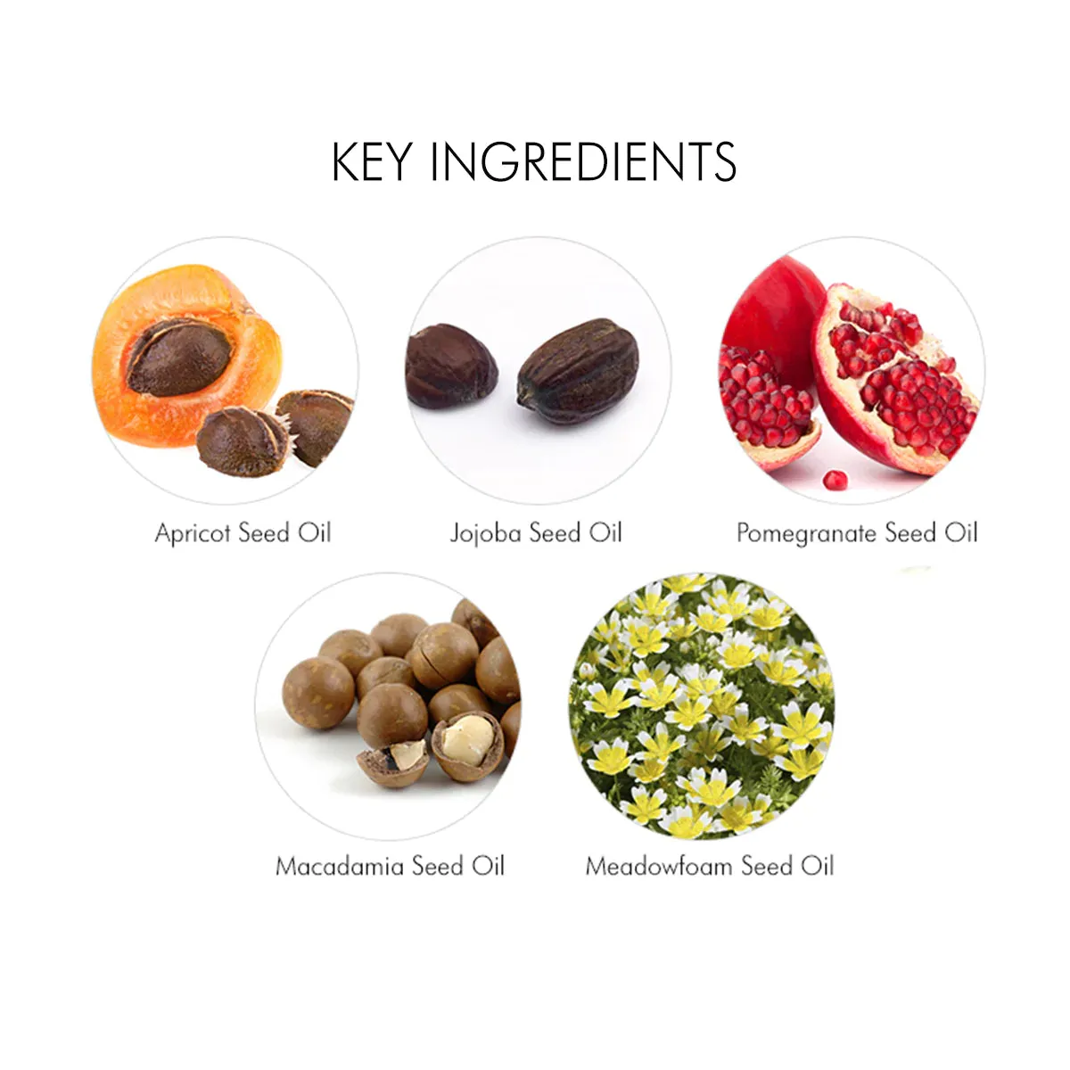 TONYMOLY Wonder Apricot Deep Seed Cleansing Oil منظف البشرة الزيتي